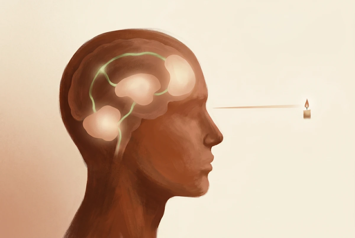 Side profile of a meditator's head with softly glowing inner regions connecting eye to brain, illustrating the proposed neural mechanism of saccade suppression during trataka.